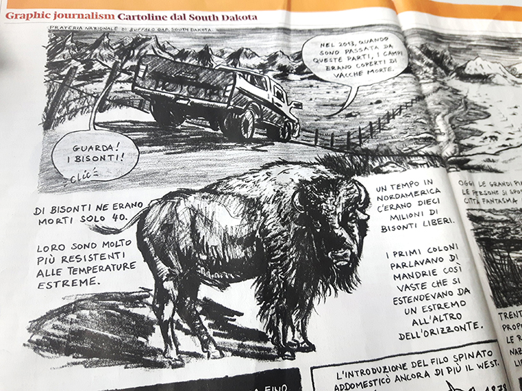 Graphic Journalism: “Postcard from South Dakota”, for Internazionale #1270
