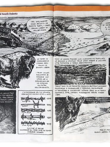 Graphic Journalism: “Postcard from South Dakota”, for Internazionale #1270