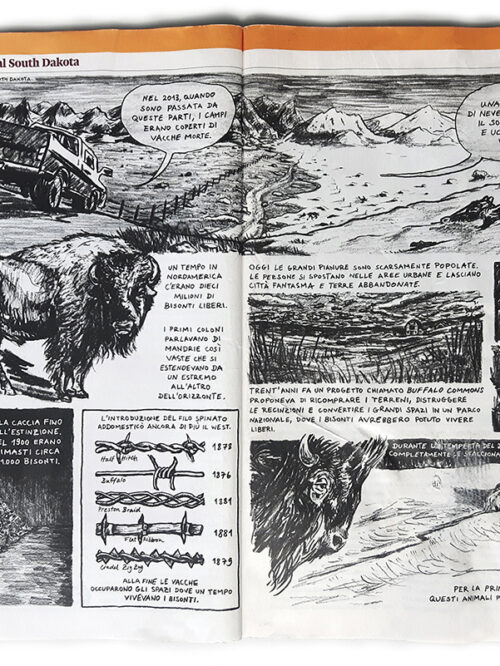 Graphic Journalism: “Postcard from South Dakota”, for Internazionale #1270